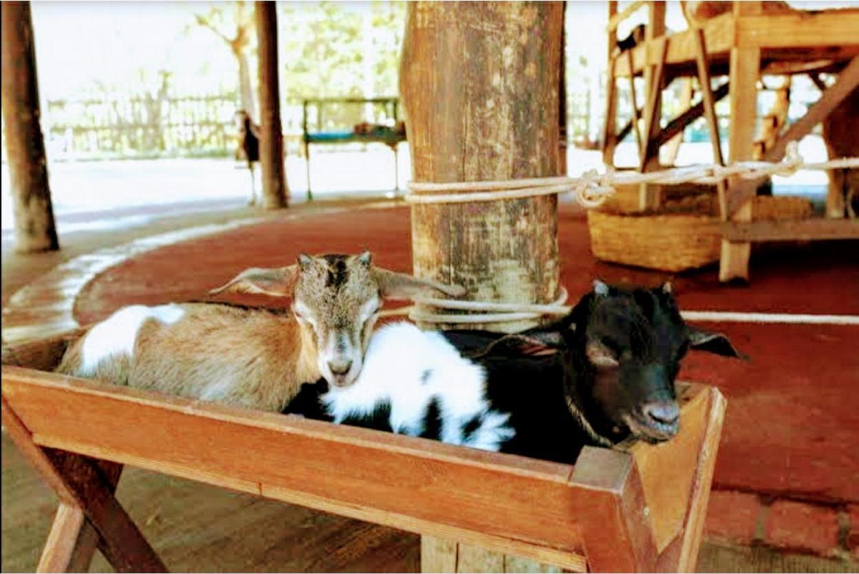 Olimpia Park Resort - Resort Em Olímpia Esterno foto